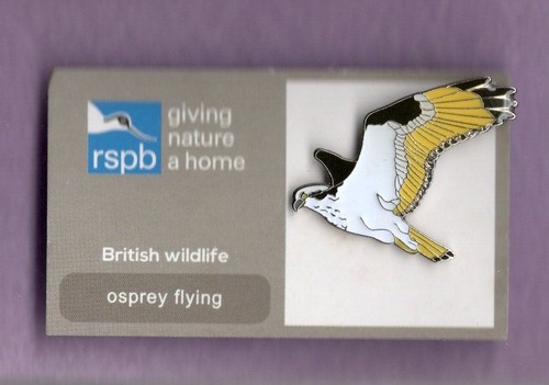 Rspb pin badge osprey - pin,